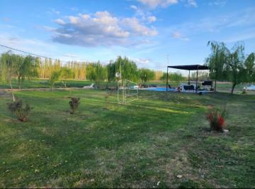Campo · 110000m² · 2 Ambientes · Venta - Chacra Sobre Calle Primeros Pobladores con Casa - R026