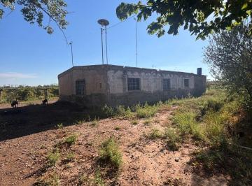 Terreno , San Martín · Venta Finca Nueva California Calle Talavera San Martín Mendoza