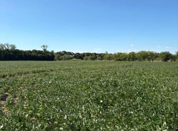 Terreno · 57000m² · Campo 6 Hectáreas Arroyo Seco