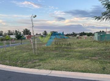 Terreno · 531m² · Terreno Lote en Venta en Santa Sofía, Pilar del Este, Pilar