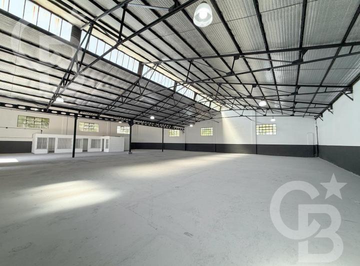 Bodega-Galpón · 900m²