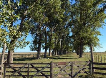 MBO-MBO-435_2 · Campo a La Venta en Chascomus