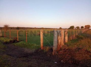 Campo · 1190000m² · Venta Campo 120 Ha Lucas Norte, Villaguay, Entre Ríos