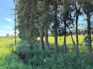 vista pinos · 5 Ha en Venta, Rio Tala, La Celina, San Pedro