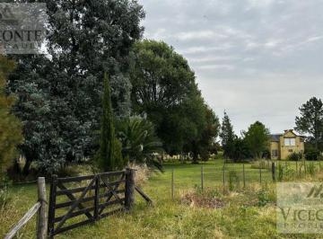 Campo , Chascomús · Campo Agrícola Ganadero 23 Ha Ruta 20, Chascomús. Buenos Aires