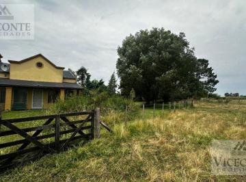Campo , Chascomús · Campo Agrícola Ganadero 23 Ha Ruta 20, Chascomús. Buenos Aires