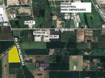 FUG-SPF-1115_2 · Campo 19136 Hectáreas |. | Av Las Palmeras