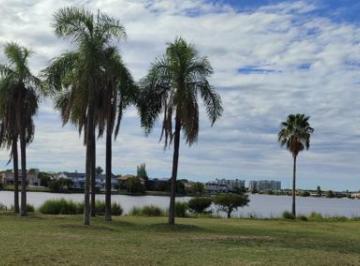Terreno · 4292m² · Lote Premium Al Lago en La Isla – Nordelta