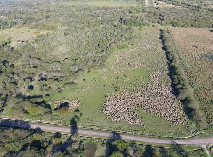 Terreno · 35000m²
