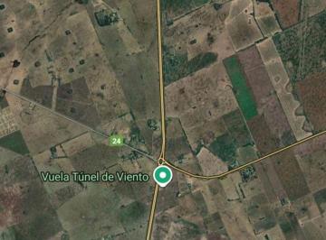 Campo · 1240000m² · Venta Gral Rodriguez Campo 124 Has Usd 1.550.000. - Sobre Ruta 6 Sembrado Actualmente