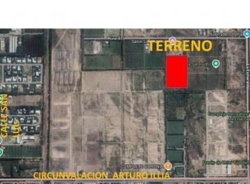 Terreno · 30000m² · Venta Lote en Cipolletti Apto Loteo