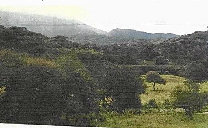 Campo · 135m² · 2 Dormitorios