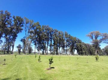 Terreno · 1123m² · Terreno en Venta - 1123 m² - Los Tres Pinos, General Rodríguez