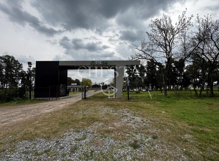 Bodega-Galpón · 200m²