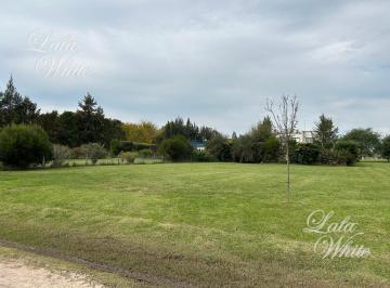 Terreno · 800m² · Oportunidad Lote a La Venta en Santo Domingo