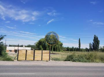 Campo · 28448m² · Venta de 2 Chacras en Conjunto Frente a Ruta 151 Cinco Saltos