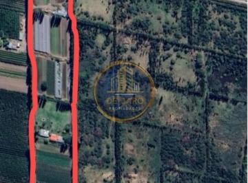 Campo · 55000m² · Venta Chacra Camino a Vaca Muerta