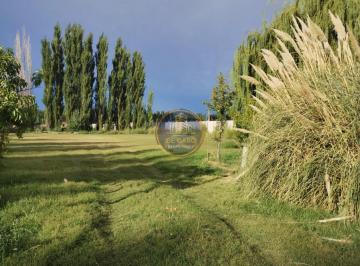 Campo · 55000m² · Venta Chacra Camino a Vaca Muerta