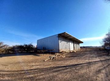 Bodega-Galpón , Perdriel · Galpón en Venta en Ruta Nacional N°40, Perdriel Este