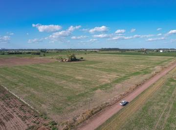 Campo · 210000ha · Campo Agrícola en Venta de 21 Ha General Lagos