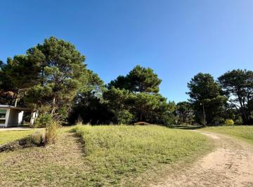 Terreno · 1000m² · Lote Costayres