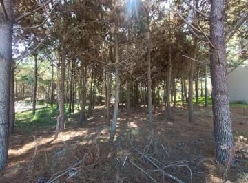 Terreno · 1109m² · Lote en Venta en Marítimo 2 de Costa Esmeralda