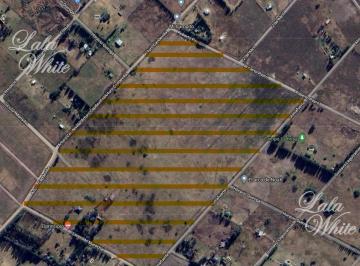 Terreno · 260000m² · Venta - 16 Hectáreas Especiales Para Barrio Abierto en Guernica