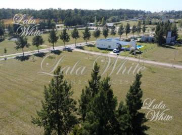 Terreno · 1006m² · Venta - Lote en Fincas de San Vicente