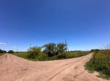 Campo · 25000m² · Venta/permuta - 2,5 Has de Campo - Cañada de Gomez