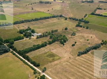 Terreno · 240000m² · Vende Campo de 24 Ha con Cancha de Polo Pilar Ruta 34