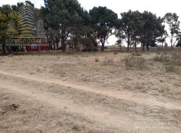 Terreno · 10000m² · Terreno en Calle El Cangrejo - Paraje Pavon