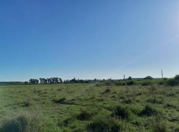 Campo · 1m² · 1 Ambiente · Vendo Campo Muy Cerca de La Ciudad de Esquina y Sobre Ruta!