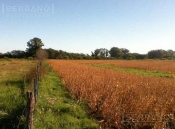 Campo · 180m² · 4 Ambientes · 1 Cochera · Venta Chacra 4500 m² en Mercedes, Buenos Aires