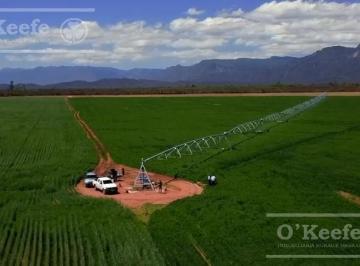 Campo · 500m² · 14 Ambientes · Campo Mas Reserva Privada en Venta de 6300 Has en Gral Guemes, salta (Facilidades y Permutas)