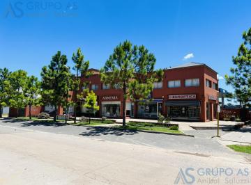 Departamento · 60m² · 3 Ambientes · Departamento Muy Amplio y Cómodo en La Mejor Zona de Funes