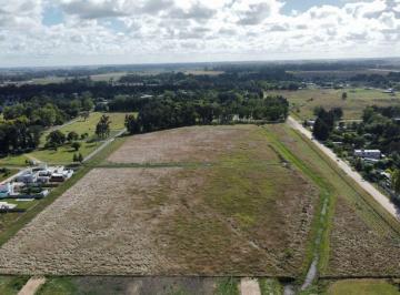 Campo , Brandsen · Gran Fraccion de 7,9 Ha Ideal Proyectos Inmobiliarios. Brandsen