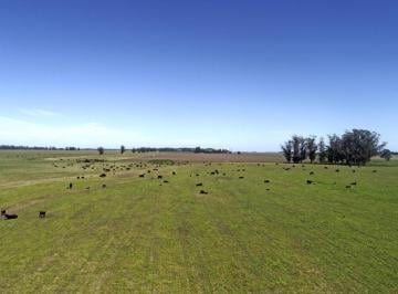 Campo · 4150000m² · Campo en Mar del Plata