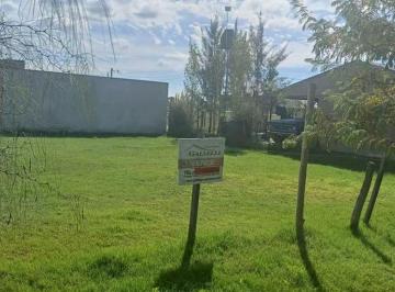 Terreno , San Vicente · Dos Lotes Juntos