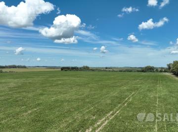 Campo · 1780000m² · 178 Ha Campo Agrícola en San Pedro