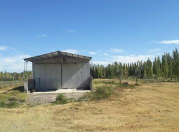 Bodega-Galpón · 200m² · 2 Ambientes · Galpon Industrial con Multiple Utilizacion