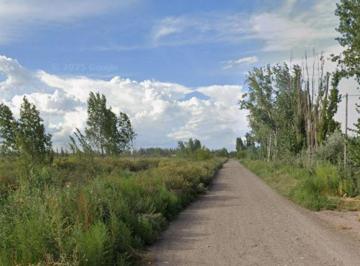 Campo , Salto de las Rosas · Campo Agricola en Cañada Seca - San Rafael