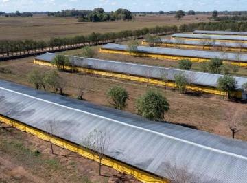 Campo · 250000ha · 11 Ambientes · Campo en Venta en Pedernales