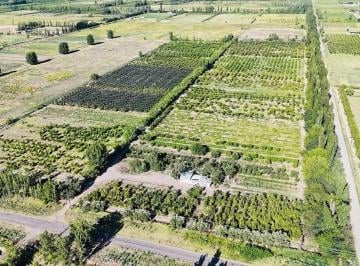 Casa · 150m² · 3 Ambientes · 1 Cochera · Finca con Produccion y Vivienda