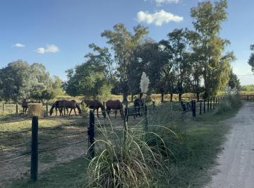 Campo · 220m² · 6 Ambientes · 2 Cocheras · Chacra en Alquiler en Ruta 28 Alt. Km 6, Pilar, Provincia de Buenos Aires