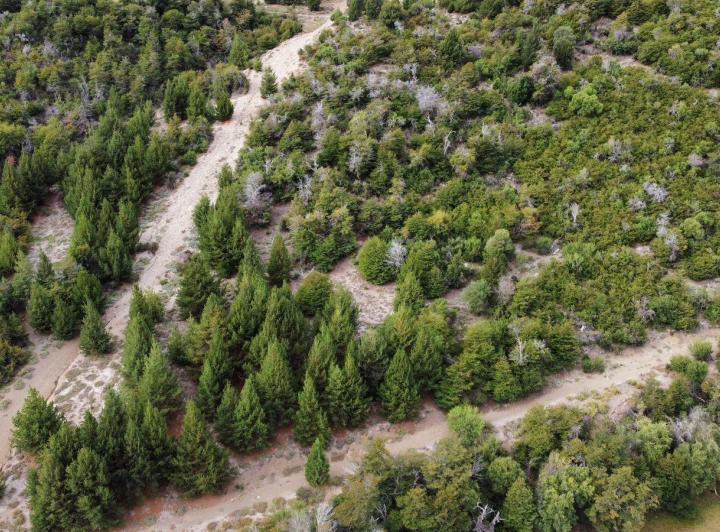 Terreno · 4200m²