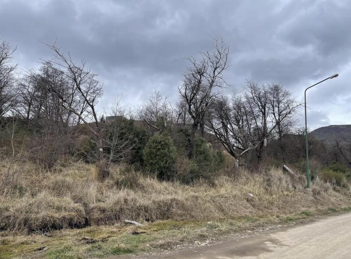 Terreno · 298m²