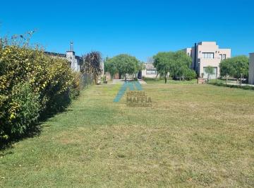 Terreno · 53401m² · Terreno Lote en Venta en San Ramiro, Pilar del Este, Pilar