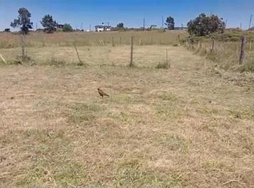 Terreno · 599m² · Terreno en Venta - 599 m² - Chapadmalal
