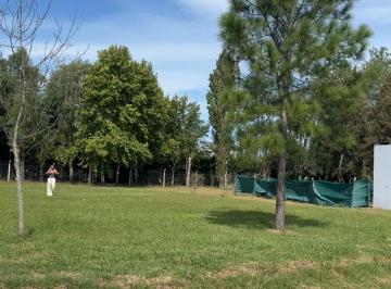 Terreno · 1006m² · Venta Lote Cardal 2 Campana