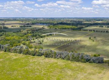 Campo · 60000m² · Chacra 6ha en Venta con Casa a 300 m de Ruta 41 – Mercedes